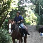 Ostia, blitz in pineta. Demolite 7 baracche (FOTO + VIDEO)