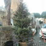 ALBERO DI NATALE OSTIA ANTICA