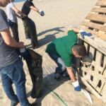 casapound castelporziano