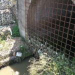 collettore via riario vitinia