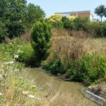 collettore via riario vitinia