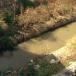 collettore via riario vitinia
