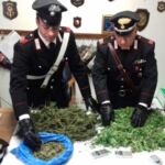 ostia-la-droga-sequestrata-dai-carabinieri-di-acilia-2