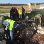 IMG_9403-26-02-17-06-37