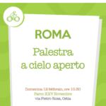 Palestra a cielo aperto