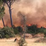 incendio