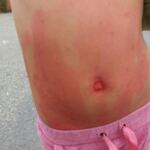 WhatsApp Image 2017-09-14 at 11.50.26