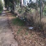 266E4C15-BCCB-43CE-ACD3-A4454FC0B234