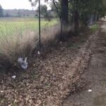 377CE29E-929E-4FB1-B495-331EC1362F8C