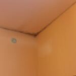 4EE8F822-06C5-4A41-87CF-1492F04DDAD3