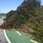 7CD7D90A-81C3-4116-86CF-0E51E27EE077