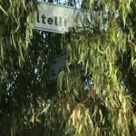 817BF1BE-176F-4C69-823A-019312421083