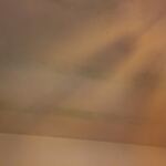 83950AC6-E7DE-4B2B-AA5D-87A8519F245D