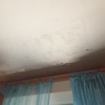 B7F83644-B79B-4962-A48D-19E16FF9EAAA