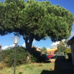 D57B8C41-0EDE-411C-8F79-424727773A4F