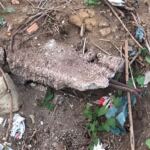 bfc863c3-d4af-44c2-86b1-9a3d97bf92d7