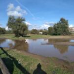 2c01813f-f709-4c97-81e5-d3a6846372bd