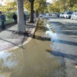 3d3ab0bf-c45c-488b-abb4-1b21a45ff145