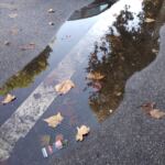 67a3f8d4-0439-49fa-b0d3-d4d8336d0123