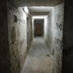 55536549_1276952625802935_8687142651234877440_n