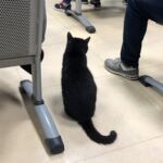 5E492DC3-58C7-4119-B8D5-4111C325EF7C