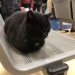 86D16B59-3ADE-46C7-8168-F7BD407A9904