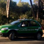 I Carabinieri FORESTALE nella pineta