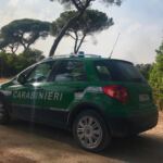 I Carabinieri FORESTALE nella pineta