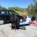 c2ad5af8-d8b7-4793-8119-ed0f66004ea8