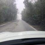 FA1868BD-AEB1-4D8E-AA2F-C373654DDB67