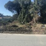 07491838-2144-479A-82B4-5041A52C76B4