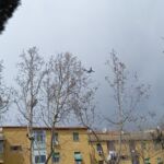 13978306-AFD1-4E8C-AE79-20C3331C55B4