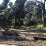 162ABCAD-0BBC-41E9-8B13-11B7037A62CD