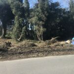 6DB43D28-C320-48C7-9834-93233CA97F7E