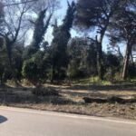 A173E995-3A95-4C43-84B1-73D76FFDBD80