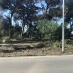 BC00B945-5BC4-486B-A737-73FA6EBDA611