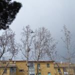 C44B92D1-7A3F-4E5A-8319-94381AC81901