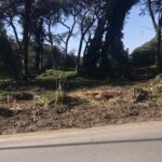 E37FD3FB-BD41-4B45-863C-A4B54E474F8F