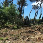 0b4eccc1-6a4c-48a1-9d9c-ca4a7e8a75b5