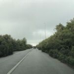 189e82cc-16c7-41ea-b2f8-8a7d6b05890d