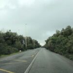 22e95cd1-2a78-4dea-88a8-5579faef18a2