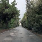 75f99991-911f-4e67-bb6a-e6ca360a4a2b