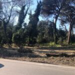 8904cb7b-93d4-46ca-92fe-fccc25aa60bc