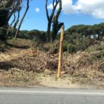 99ca7e6f-1923-4f34-9071-0d9f73ac35b3