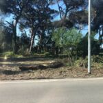 a07ecc9f-e07a-48ea-8651-3a2ed5aa9da0