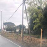 b1117d98-4758-4e3e-9468-a28e82103aa1