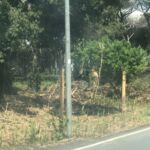 b6e094e8-2f50-46e6-9415-6b05f9777d95