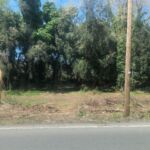 badce461-e78e-495e-9636-4f33769d5f14