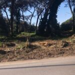 d53b96c8-ccb5-4a41-8bb3-449134be6060