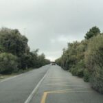 e8a5b812-cc2b-4d7b-9364-23727d8a46c0